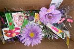Sale Photo Thumbnail #27