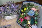 Sale Photo Thumbnail #31