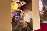 Sale Photo Thumbnail #19