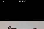 Sale Photo Thumbnail #158