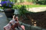 Sale Photo Thumbnail #30