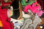 Sale Photo Thumbnail #23