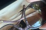 Sale Photo Thumbnail #45