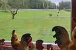 Sale Photo Thumbnail #139