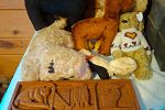 Sale Photo Thumbnail #108