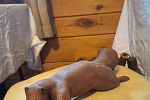 Sale Photo Thumbnail #125