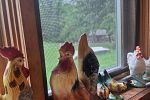 Sale Photo Thumbnail #138