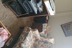 Sale Photo Thumbnail #28