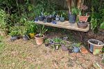 Sale Photo Thumbnail #31