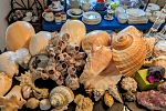 Sale Photo Thumbnail #139