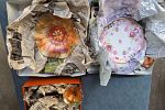 Sale Photo Thumbnail #13