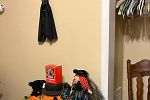 Sale Photo Thumbnail #40