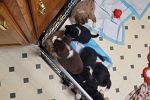 Sale Photo Thumbnail #14