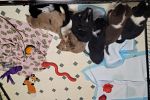 Sale Photo Thumbnail #11