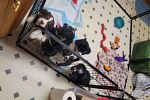 Sale Photo Thumbnail #12
