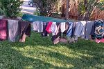Sale Photo Thumbnail #13