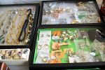 Sale Photo Thumbnail #37