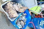 Sale Photo Thumbnail #26