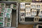 Sale Photo Thumbnail #15