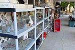 Sale Photo Thumbnail #11