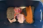 Sale Photo Thumbnail #17