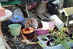 Sale Photo Thumbnail #36