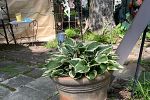Sale Photo Thumbnail #47