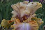 Sale Photo Thumbnail #29