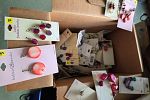Sale Photo Thumbnail #12