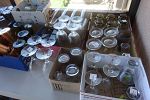 Sale Photo Thumbnail #23