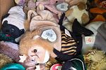 Sale Photo Thumbnail #36