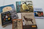 Sale Photo Thumbnail #13