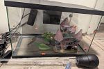 Sale Photo Thumbnail #5