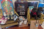 Sale Photo Thumbnail #6