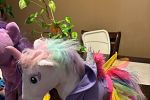 Sale Photo Thumbnail #5