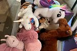 Sale Photo Thumbnail #10
