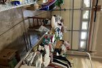 Sale Photo Thumbnail #19