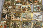 Sale Photo Thumbnail #106