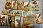 Sale Photo Thumbnail #109