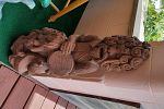 Sale Photo Thumbnail #391