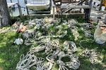 Sale Photo Thumbnail #553