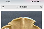 Sale Photo Thumbnail #13