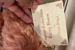 Sale Photo Thumbnail #15