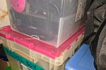 Sale Photo Thumbnail #11