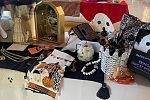 Sale Photo Thumbnail #5