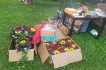Sale Photo Thumbnail #12