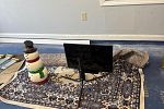 Sale Photo Thumbnail #20