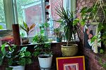 Sale Photo Thumbnail #6
