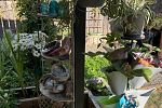 Sale Photo Thumbnail #23