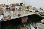Sale Photo Thumbnail #61